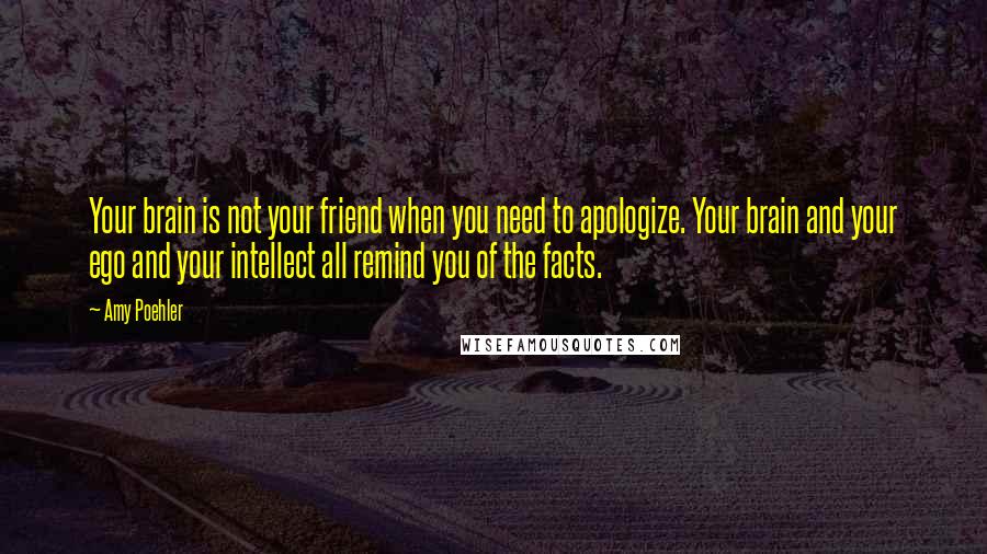 Amy Poehler Quotes: Your brain is not your friend when you need to apologize. Your brain and your ego and your intellect all remind you of the facts.