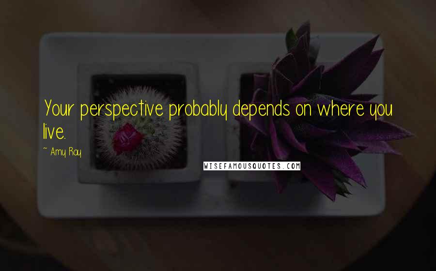 Amy Ray Quotes: Your perspective probably depends on where you live.