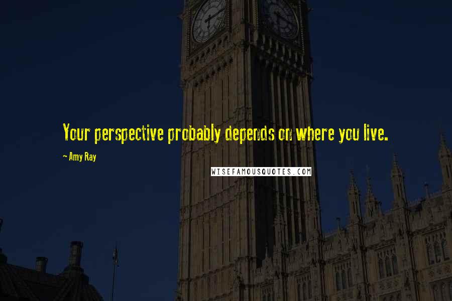 Amy Ray Quotes: Your perspective probably depends on where you live.