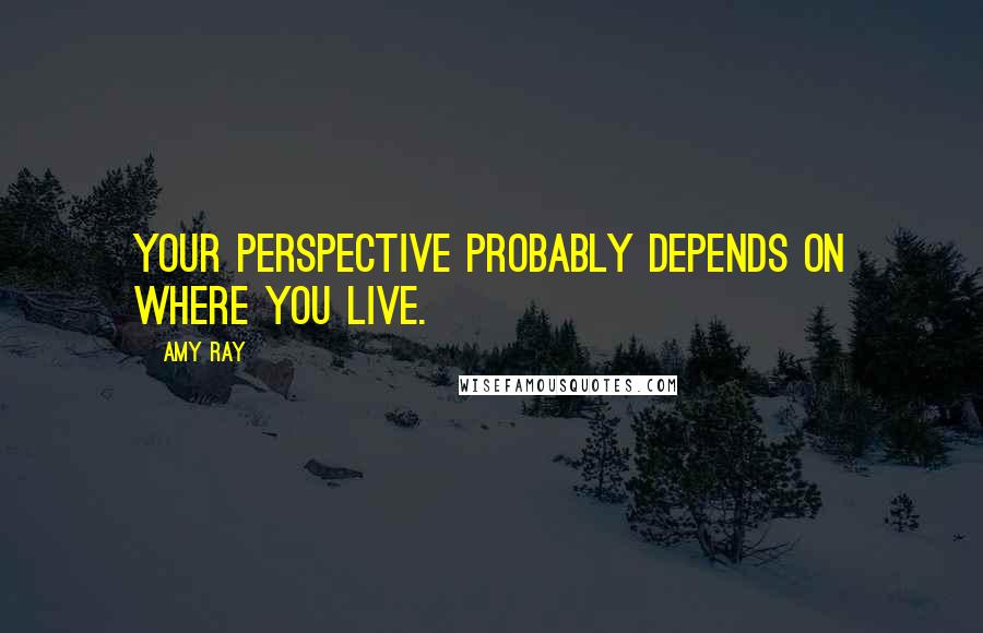 Amy Ray Quotes: Your perspective probably depends on where you live.