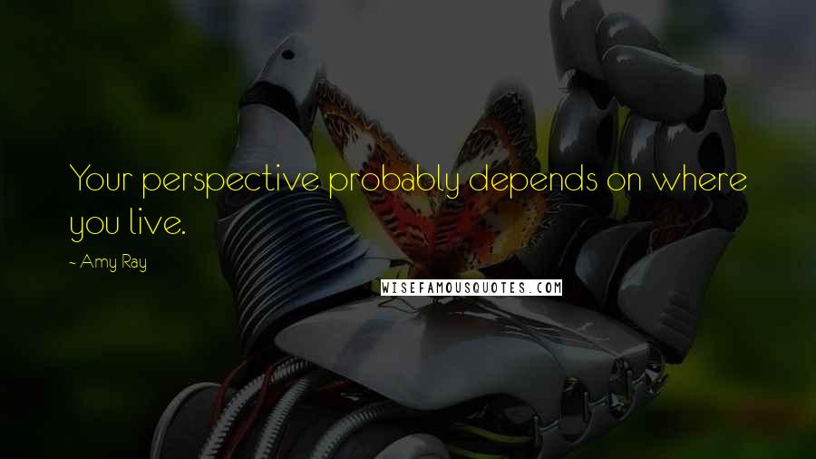 Amy Ray Quotes: Your perspective probably depends on where you live.