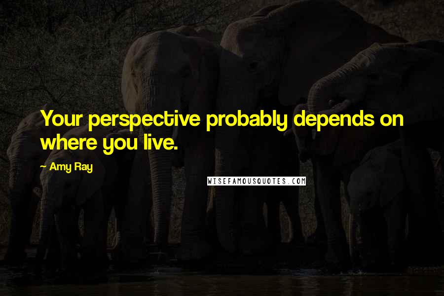 Amy Ray Quotes: Your perspective probably depends on where you live.