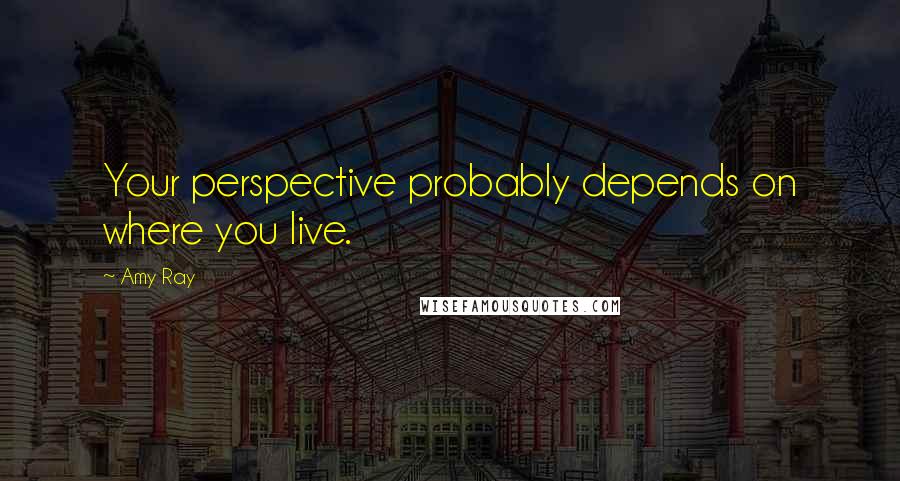 Amy Ray Quotes: Your perspective probably depends on where you live.