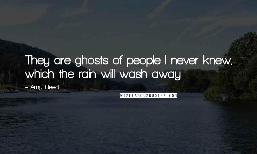 Amy Reed Quotes: They are ghosts of people I never knew, which the rain will wash away.