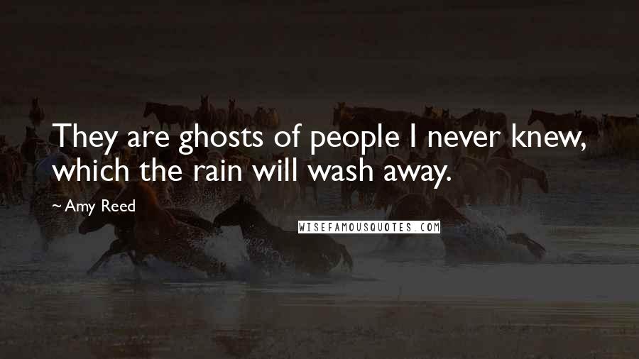 Amy Reed Quotes: They are ghosts of people I never knew, which the rain will wash away.