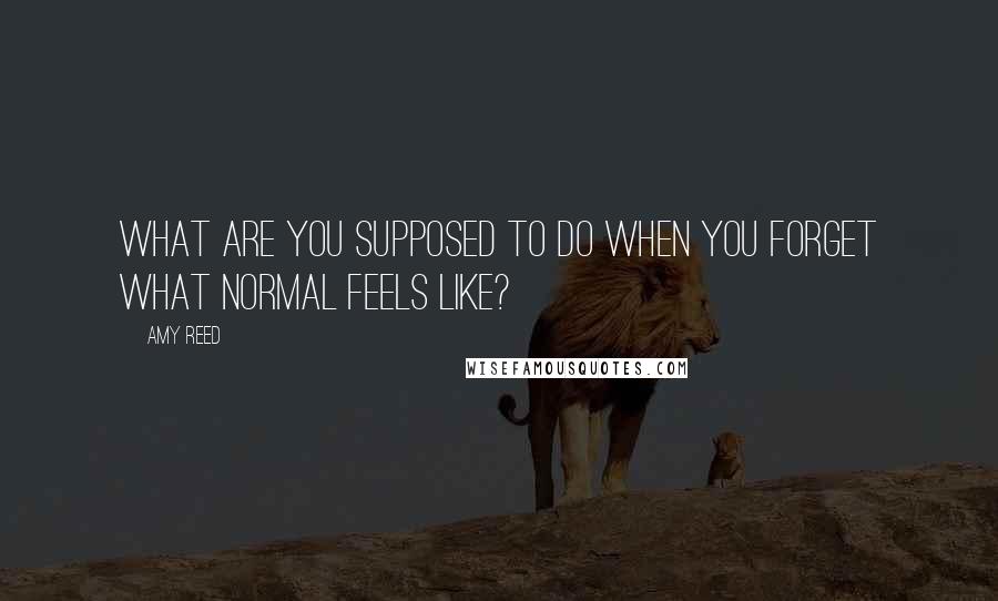Amy Reed Quotes: What are you supposed to do when you forget what normal feels like?