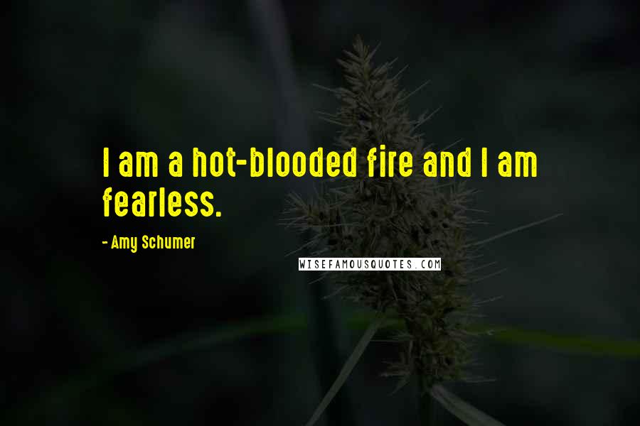 Amy Schumer Quotes: I am a hot-blooded fire and I am fearless.