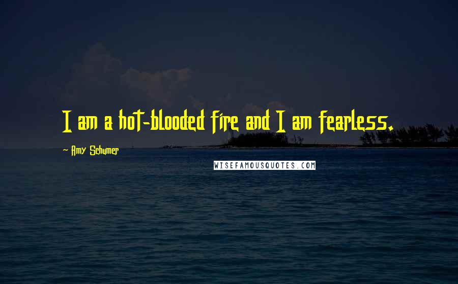 Amy Schumer Quotes: I am a hot-blooded fire and I am fearless.