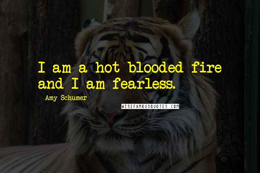 Amy Schumer Quotes: I am a hot-blooded fire and I am fearless.