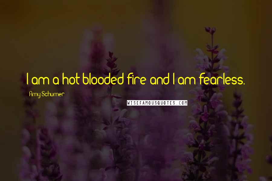 Amy Schumer Quotes: I am a hot-blooded fire and I am fearless.