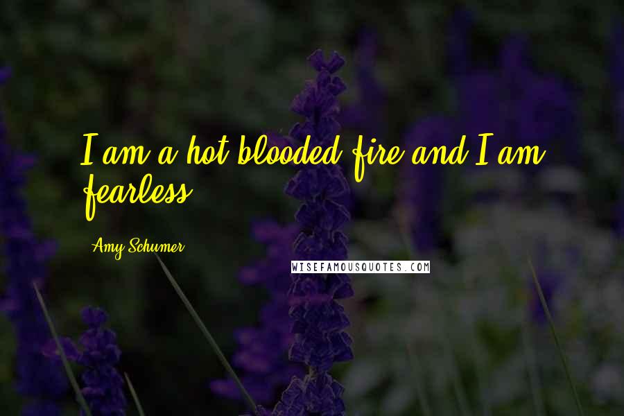 Amy Schumer Quotes: I am a hot-blooded fire and I am fearless.