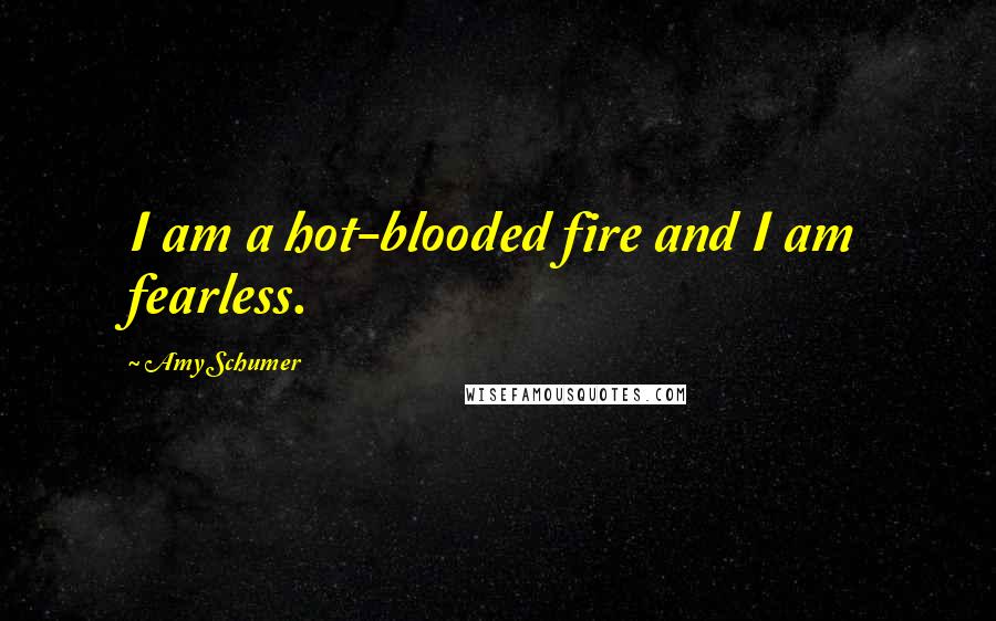 Amy Schumer Quotes: I am a hot-blooded fire and I am fearless.