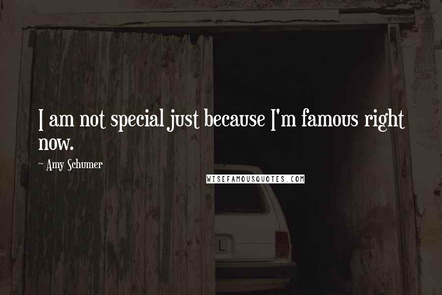 Amy Schumer Quotes: I am not special just because I'm famous right now.