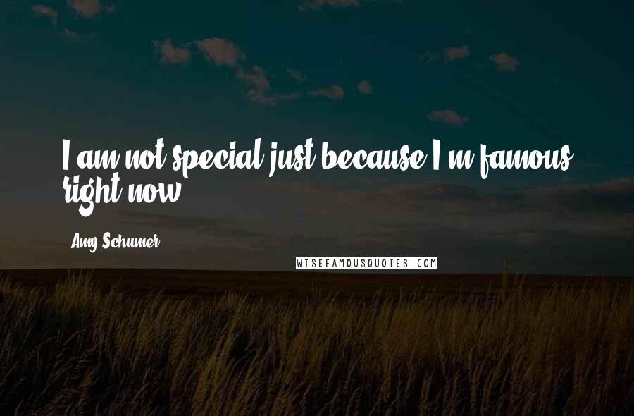 Amy Schumer Quotes: I am not special just because I'm famous right now.