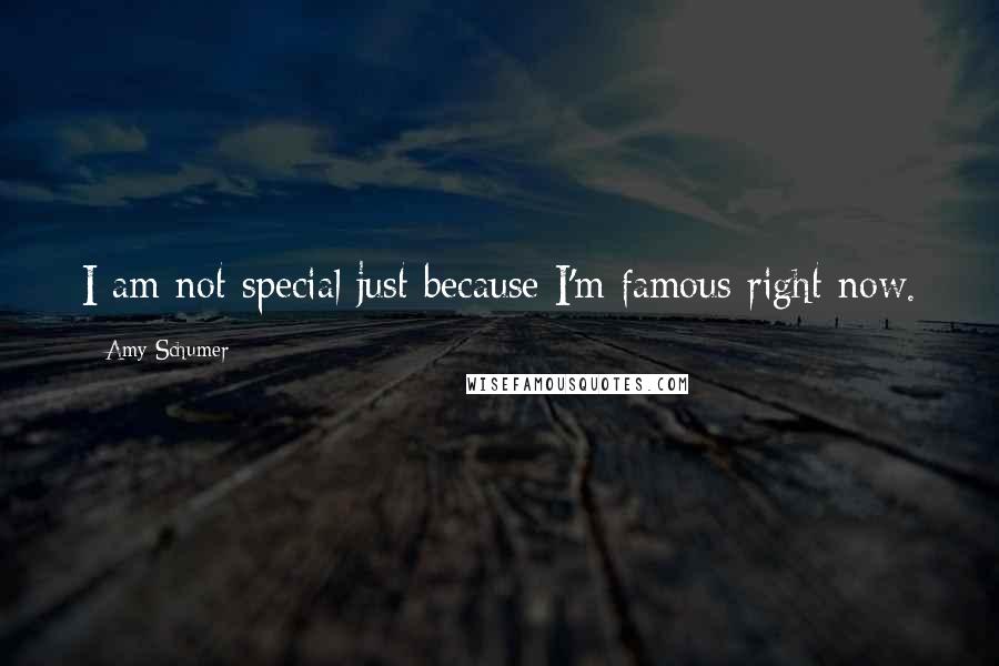 Amy Schumer Quotes: I am not special just because I'm famous right now.