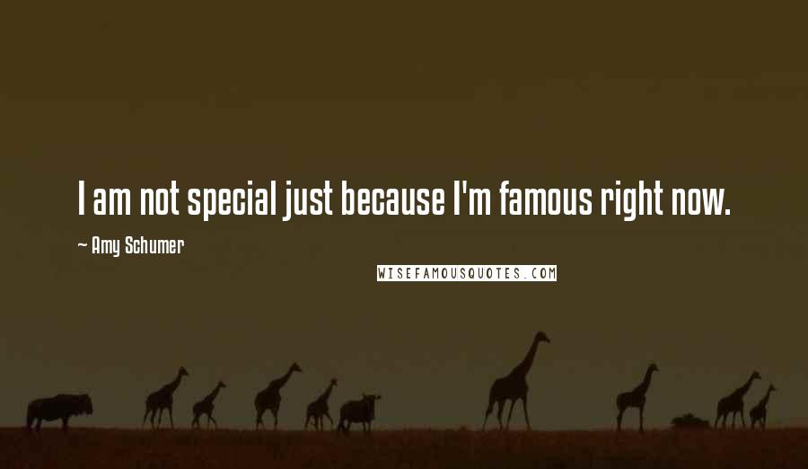 Amy Schumer Quotes: I am not special just because I'm famous right now.