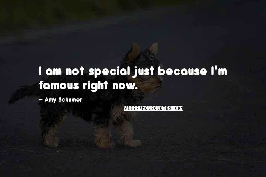 Amy Schumer Quotes: I am not special just because I'm famous right now.