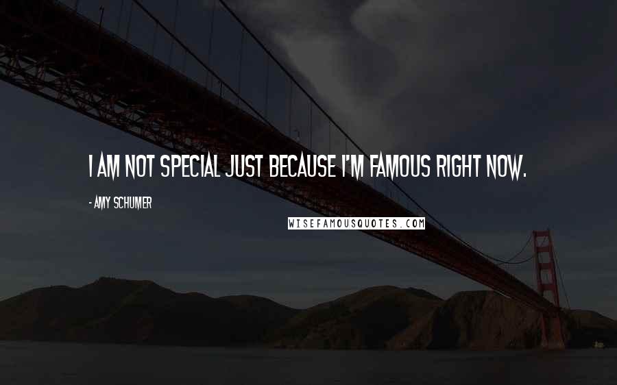 Amy Schumer Quotes: I am not special just because I'm famous right now.