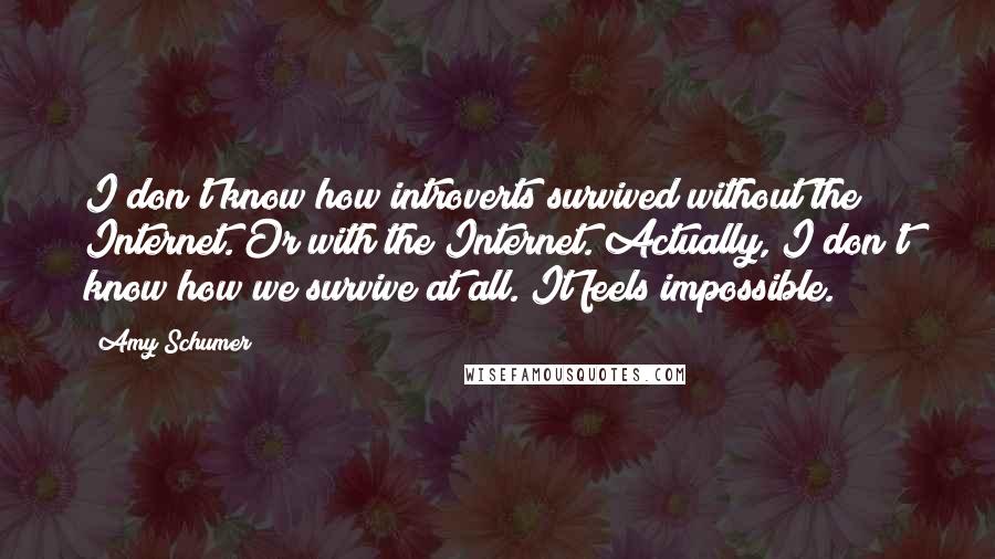 Amy Schumer Quotes: I don't know how introverts survived without the Internet. Or with the Internet. Actually, I don't know how we survive at all. It feels impossible.