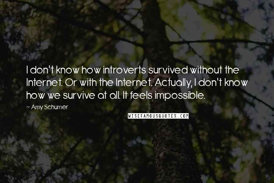 Amy Schumer Quotes: I don't know how introverts survived without the Internet. Or with the Internet. Actually, I don't know how we survive at all. It feels impossible.