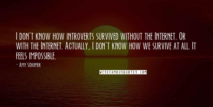 Amy Schumer Quotes: I don't know how introverts survived without the Internet. Or with the Internet. Actually, I don't know how we survive at all. It feels impossible.