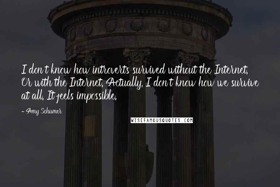 Amy Schumer Quotes: I don't know how introverts survived without the Internet. Or with the Internet. Actually, I don't know how we survive at all. It feels impossible.