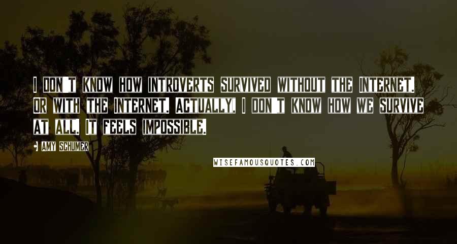 Amy Schumer Quotes: I don't know how introverts survived without the Internet. Or with the Internet. Actually, I don't know how we survive at all. It feels impossible.