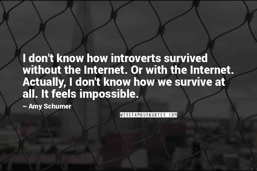 Amy Schumer Quotes: I don't know how introverts survived without the Internet. Or with the Internet. Actually, I don't know how we survive at all. It feels impossible.