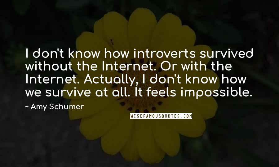 Amy Schumer Quotes: I don't know how introverts survived without the Internet. Or with the Internet. Actually, I don't know how we survive at all. It feels impossible.