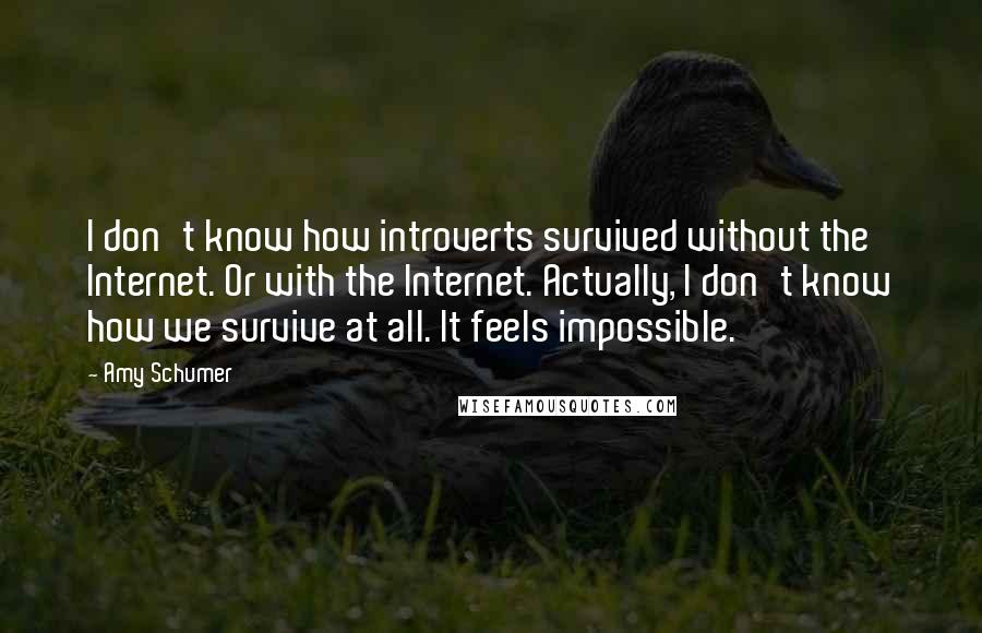 Amy Schumer Quotes: I don't know how introverts survived without the Internet. Or with the Internet. Actually, I don't know how we survive at all. It feels impossible.