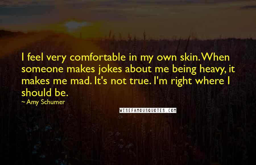 Amy Schumer Quotes: I feel very comfortable in my own skin. When someone makes jokes about me being heavy, it makes me mad. It's not true. I'm right where I should be.