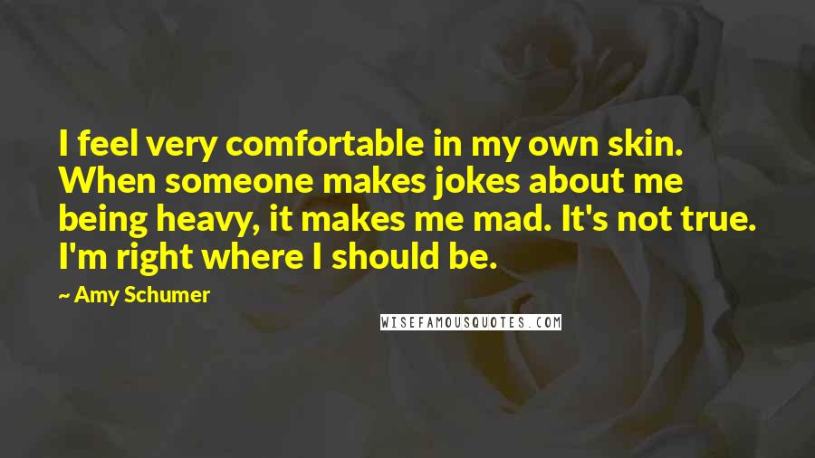 Amy Schumer Quotes: I feel very comfortable in my own skin. When someone makes jokes about me being heavy, it makes me mad. It's not true. I'm right where I should be.