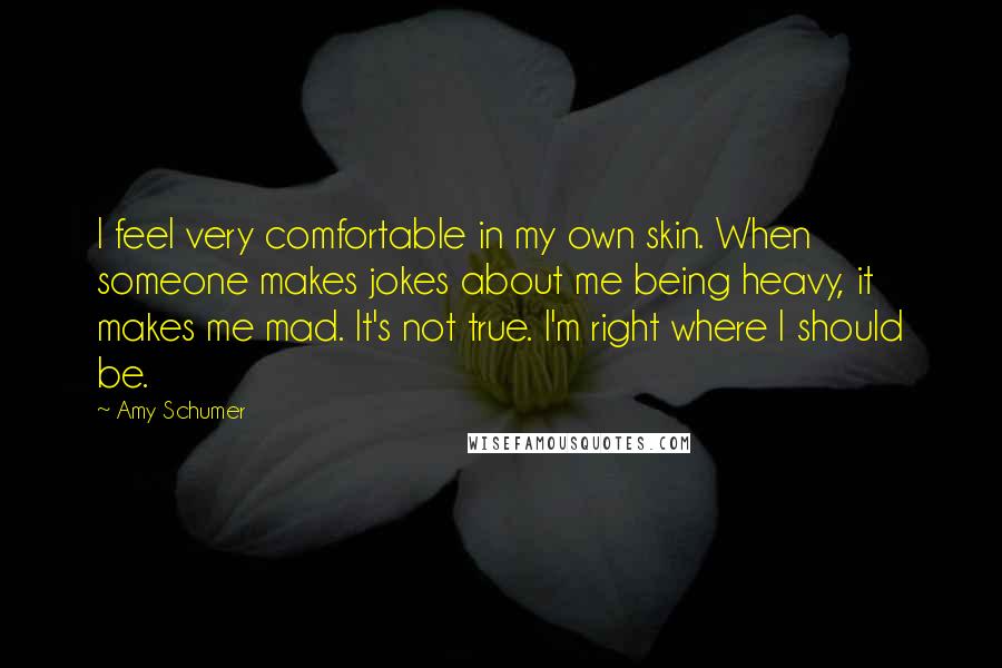 Amy Schumer Quotes: I feel very comfortable in my own skin. When someone makes jokes about me being heavy, it makes me mad. It's not true. I'm right where I should be.