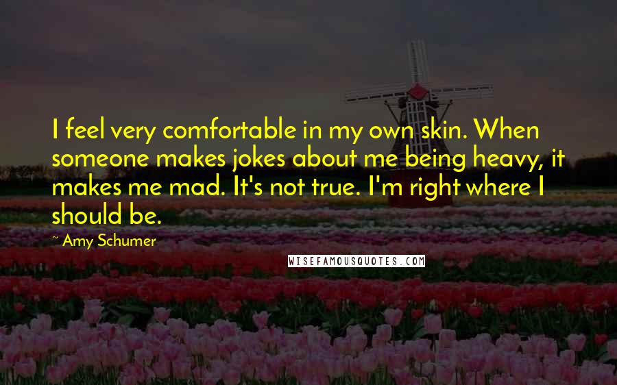 Amy Schumer Quotes: I feel very comfortable in my own skin. When someone makes jokes about me being heavy, it makes me mad. It's not true. I'm right where I should be.