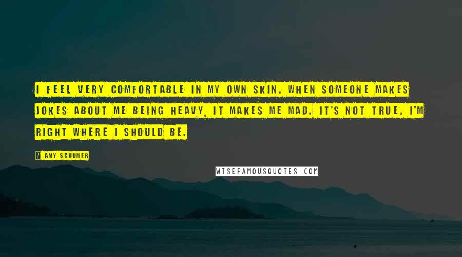 Amy Schumer Quotes: I feel very comfortable in my own skin. When someone makes jokes about me being heavy, it makes me mad. It's not true. I'm right where I should be.