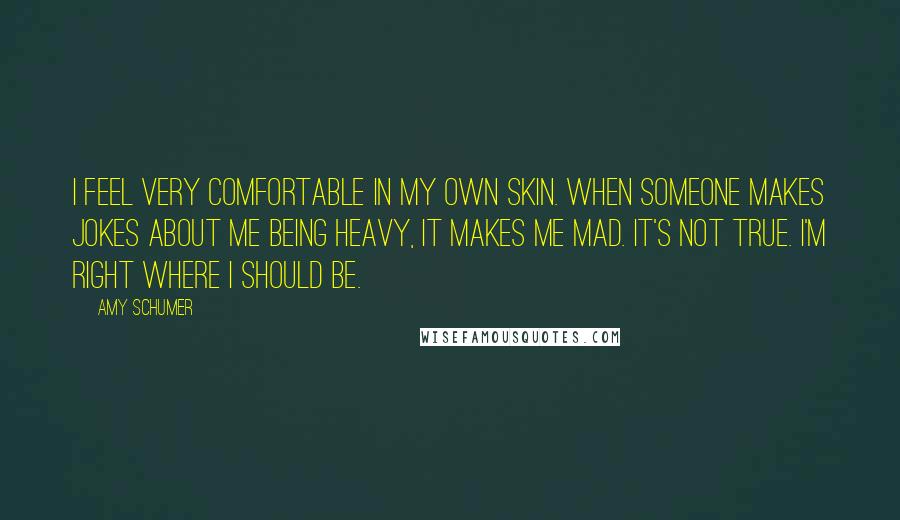 Amy Schumer Quotes: I feel very comfortable in my own skin. When someone makes jokes about me being heavy, it makes me mad. It's not true. I'm right where I should be.