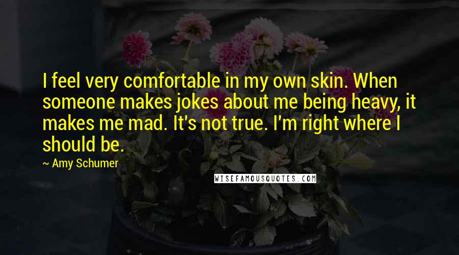 Amy Schumer Quotes: I feel very comfortable in my own skin. When someone makes jokes about me being heavy, it makes me mad. It's not true. I'm right where I should be.