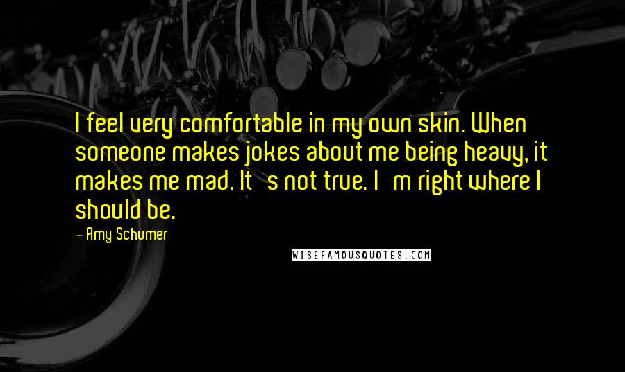 Amy Schumer Quotes: I feel very comfortable in my own skin. When someone makes jokes about me being heavy, it makes me mad. It's not true. I'm right where I should be.