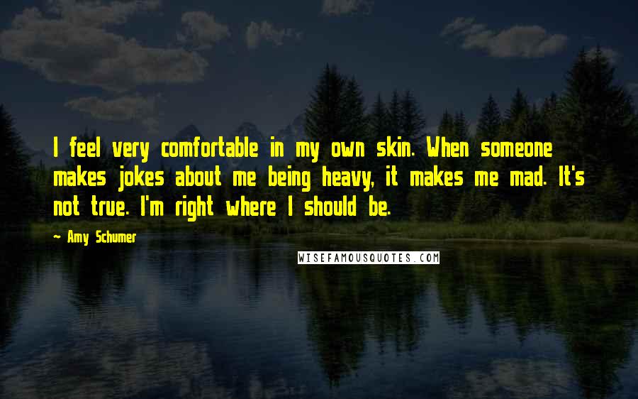 Amy Schumer Quotes: I feel very comfortable in my own skin. When someone makes jokes about me being heavy, it makes me mad. It's not true. I'm right where I should be.