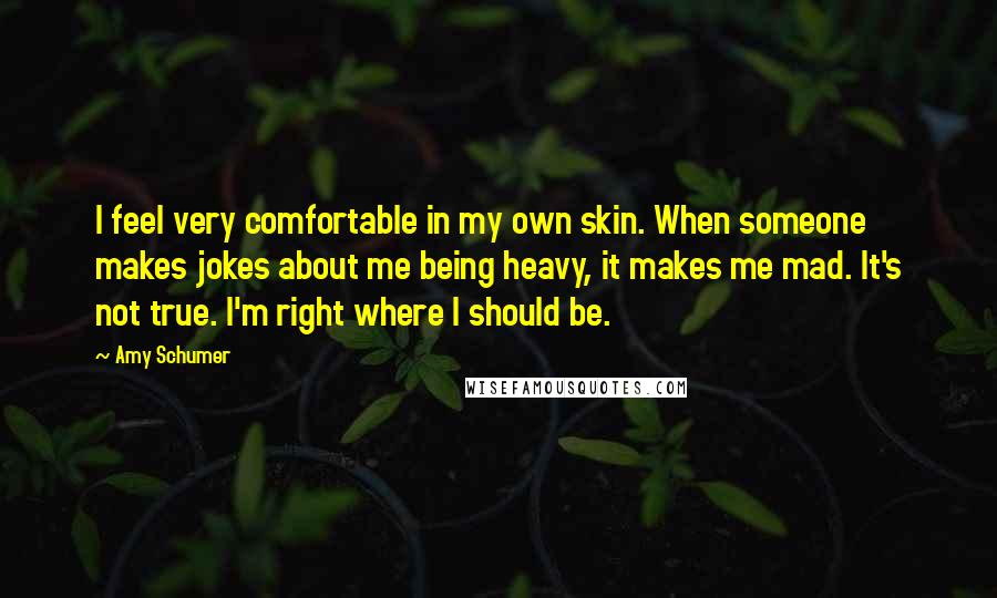 Amy Schumer Quotes: I feel very comfortable in my own skin. When someone makes jokes about me being heavy, it makes me mad. It's not true. I'm right where I should be.