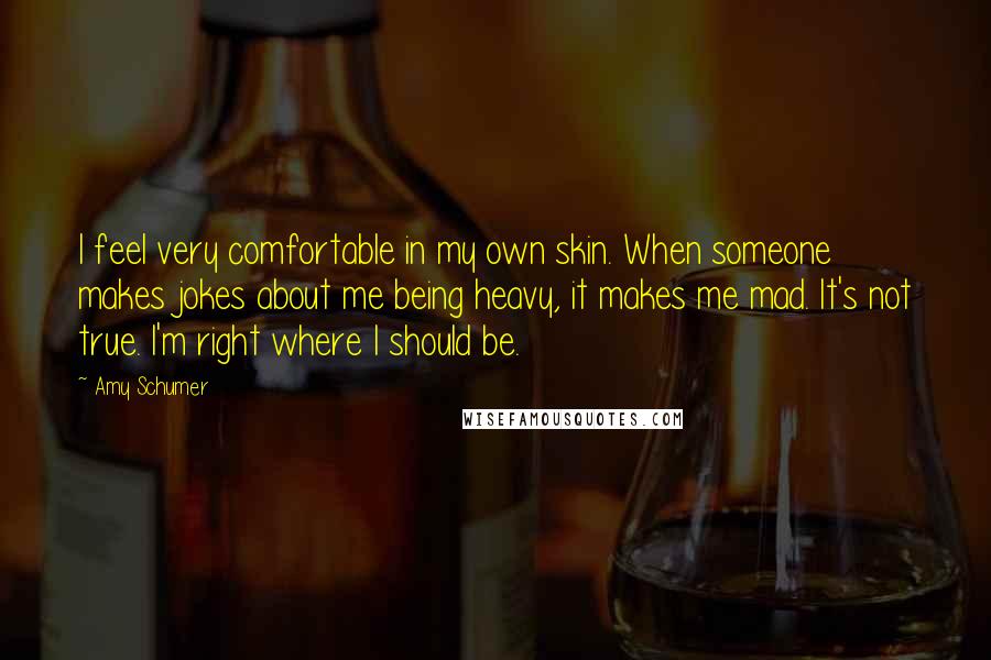 Amy Schumer Quotes: I feel very comfortable in my own skin. When someone makes jokes about me being heavy, it makes me mad. It's not true. I'm right where I should be.