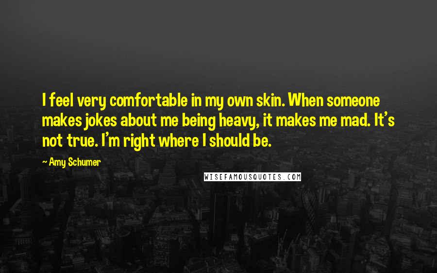 Amy Schumer Quotes: I feel very comfortable in my own skin. When someone makes jokes about me being heavy, it makes me mad. It's not true. I'm right where I should be.