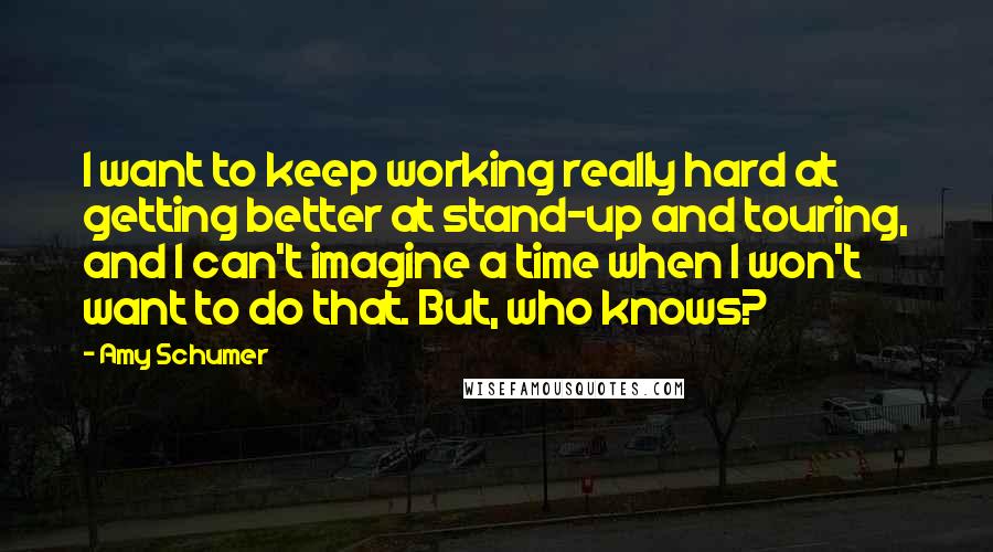 Amy Schumer Quotes: I want to keep working really hard at getting better at stand-up and touring, and I can't imagine a time when I won't want to do that. But, who knows?