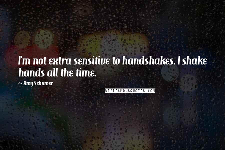 Amy Schumer Quotes: I'm not extra sensitive to handshakes. I shake hands all the time.