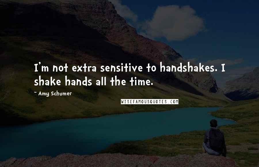 Amy Schumer Quotes: I'm not extra sensitive to handshakes. I shake hands all the time.