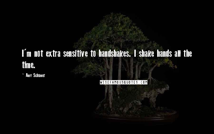 Amy Schumer Quotes: I'm not extra sensitive to handshakes. I shake hands all the time.