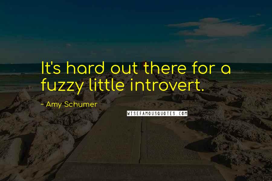 Amy Schumer Quotes: It's hard out there for a fuzzy little introvert.