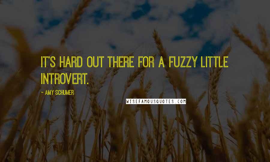 Amy Schumer Quotes: It's hard out there for a fuzzy little introvert.
