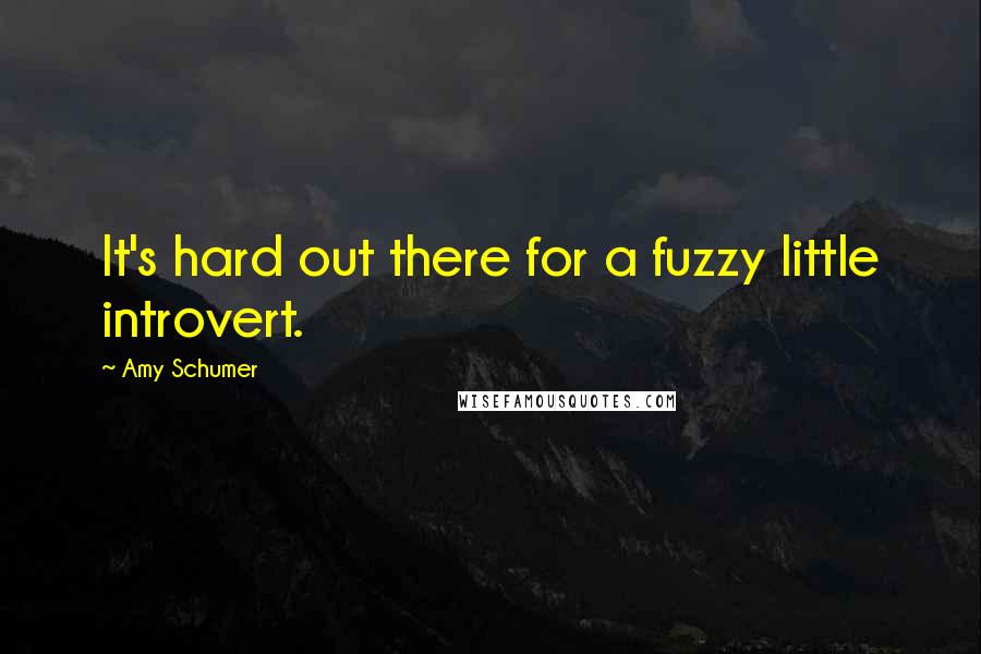 Amy Schumer Quotes: It's hard out there for a fuzzy little introvert.