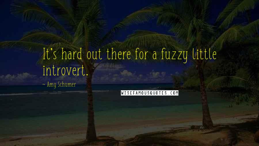 Amy Schumer Quotes: It's hard out there for a fuzzy little introvert.